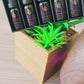 ElanLove Essential Oil Gift Set (ALL NATURAL ORGANIC)