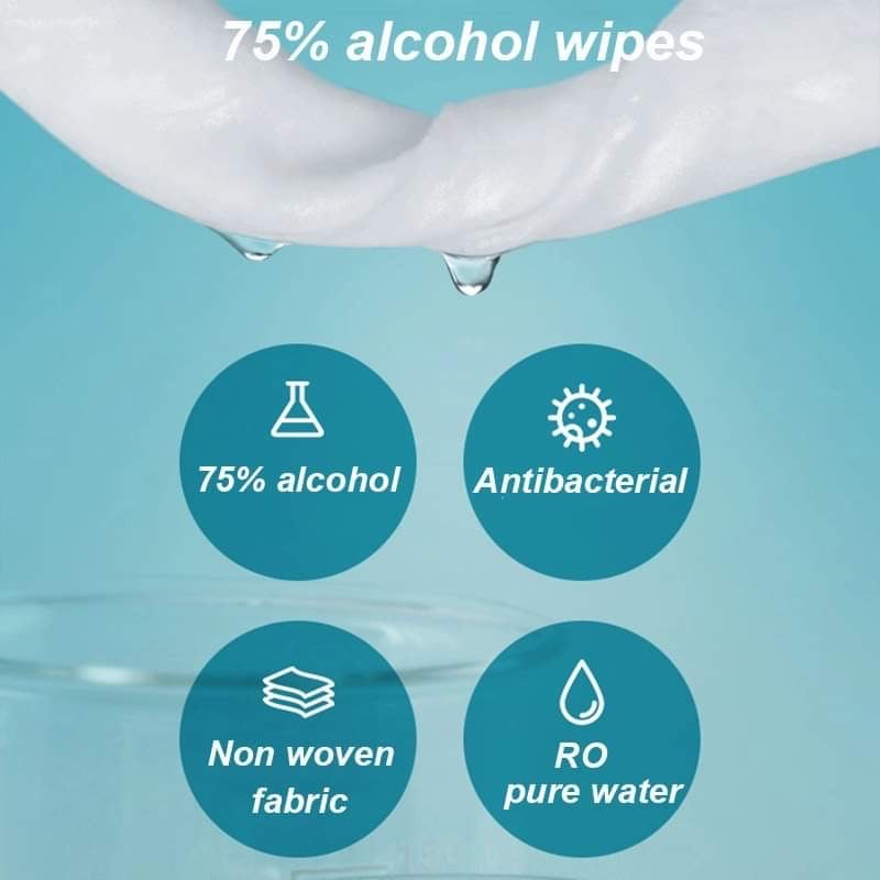 Sanitize Wipes (80 count